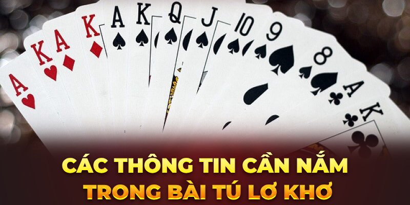 cac-thong-tin-can-nam-trong-bai-tu-lo-kho