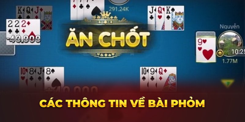 cac-thong-tin-ve-bai-phom