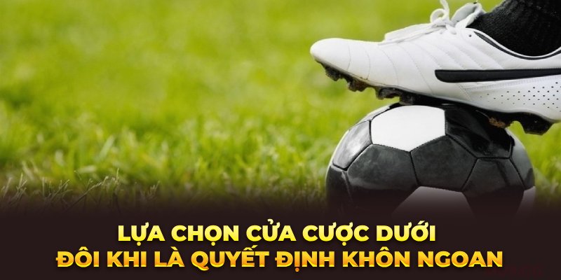 lua-chon-cua-cuoc-duoi-doi-khi-la-quyet-dinh-khon-ngoan